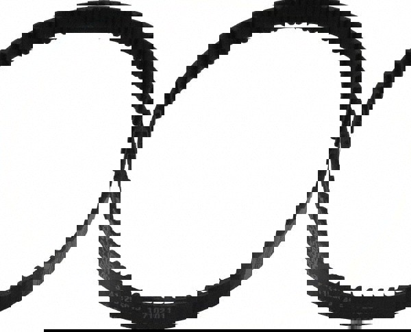 Timing Belt: Section XL